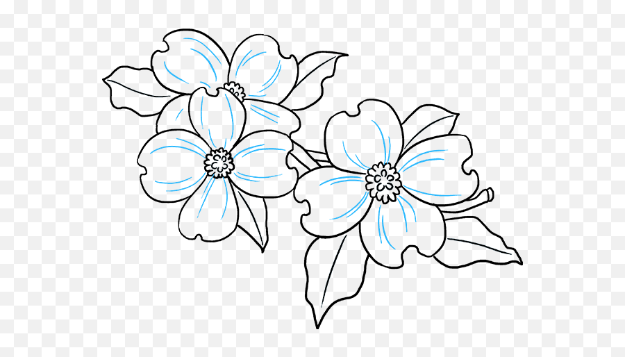 Easy Dogwood Flower Drawing Png Image - Dogwood Flower Drawing Emoji,Flower Drawing Png