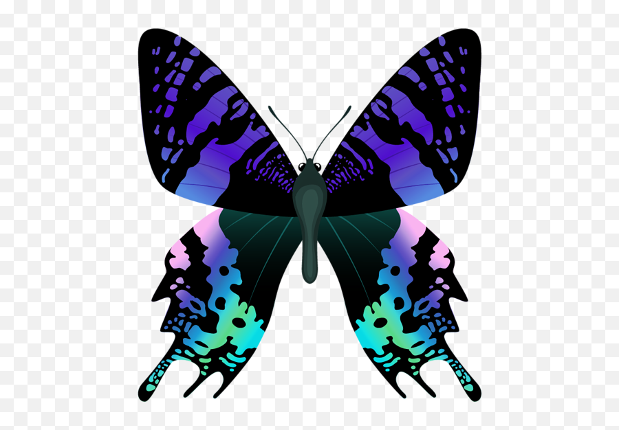 Jungle Clipart Butterfly - Papilio Machaon 586x600 Png Imagens Bonitas Png Emoji,Jungle Clipart