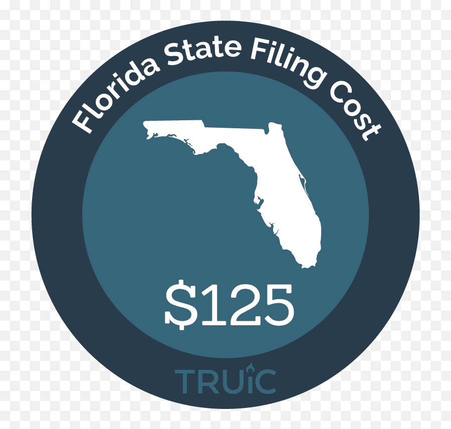 Llc Florida - How To Start An Llc In Florida Truic Emoji,Youtube Channel Logo Template
