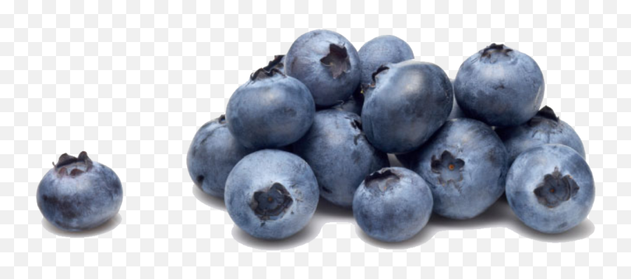 Blueberry Clipart Png - Transparent Images Download Low Blueberries Transparent Emoji,Blueberry Clipart
