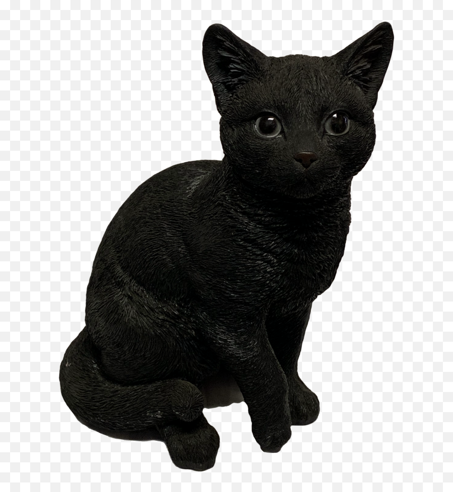 Black Cat Familiar - Black Cat Emoji,Black Cat Png
