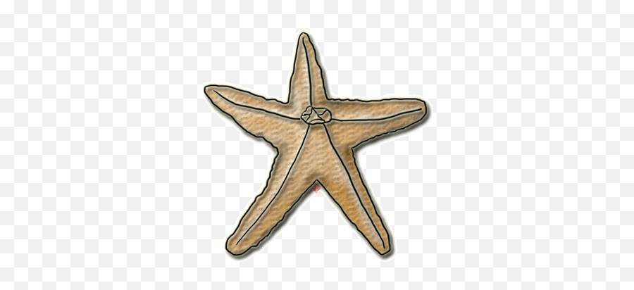Starfish Clipart Echou0027s Original Free Sealife Clipart Of - Lovely Emoji,Starfish Clipart