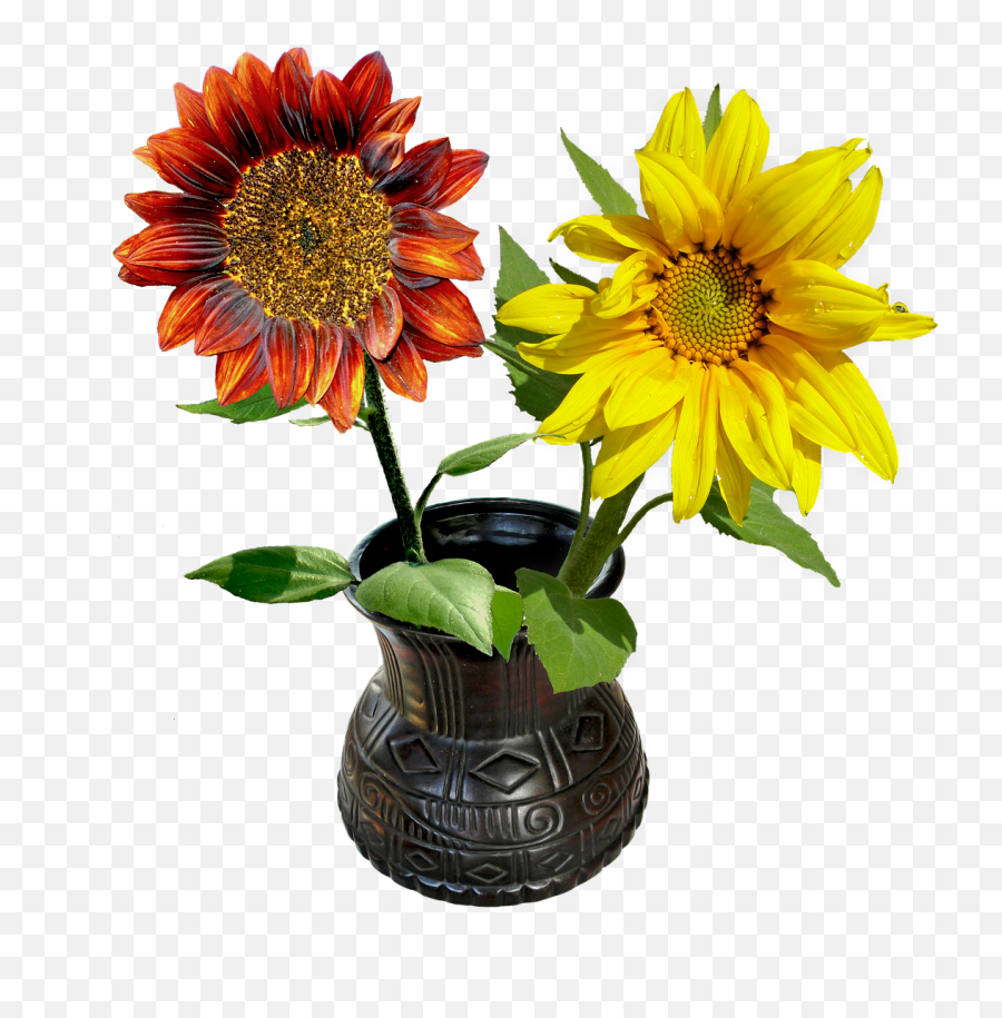 Vase Flowers Sunflowers Png Picpng - Çiçekli Vazo Emoji,Sunflowers Png