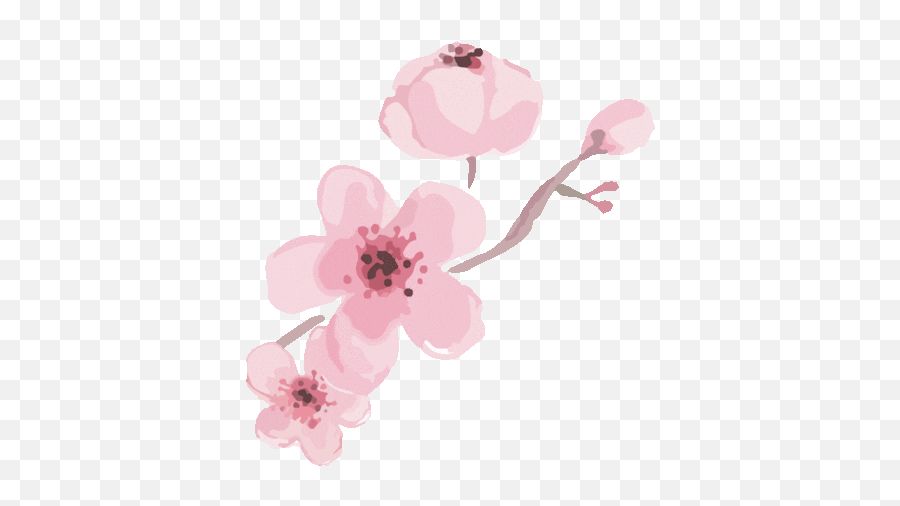 Best Acrylic Nail Designs Emoji,Cherry Blossom Gif Transparent