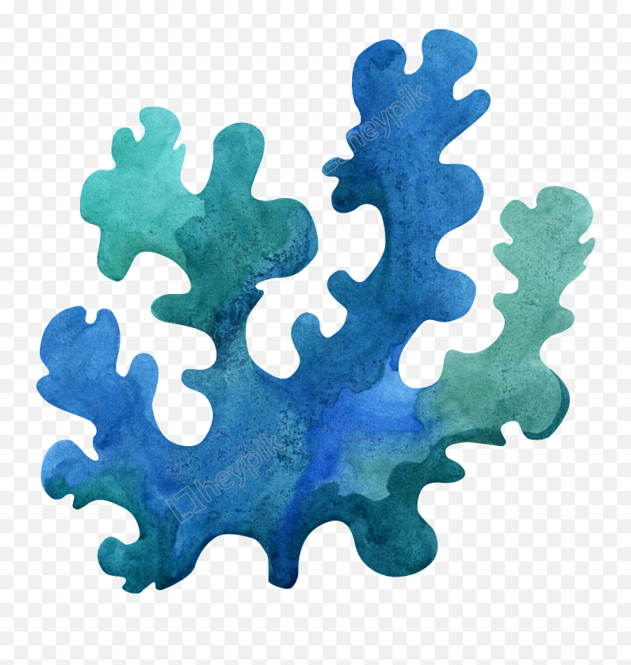 Seaweed Png - Transparent Background Colorful Seaweed Clipart Emoji,Seaweed Clipart