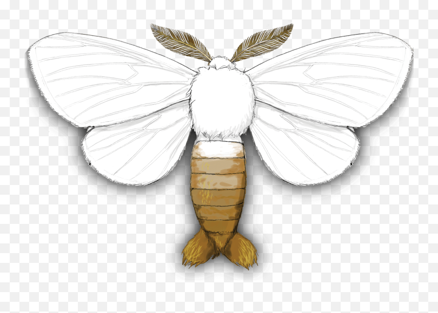 Download Gypsy Moth - Lycaenid Full Size Png Image Pngkit Emoji,Moth Transparent