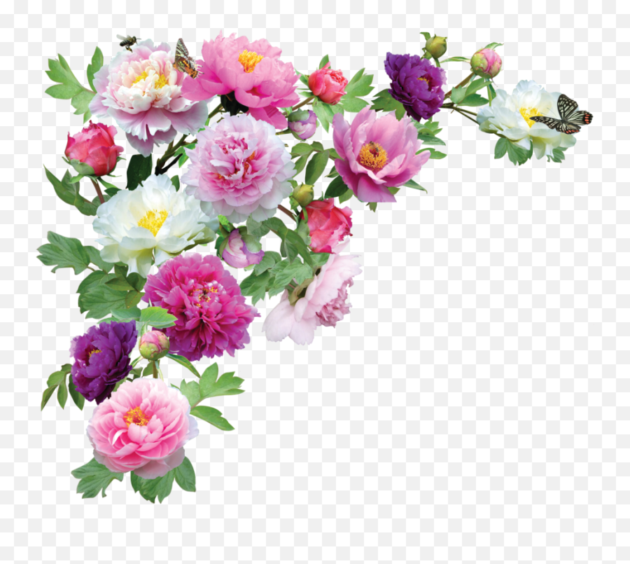 Download Flower Png - Flower Border Corner Png Png Image Transparent Background Wedding Flowers Png Emoji,Flower Border Transparent Background