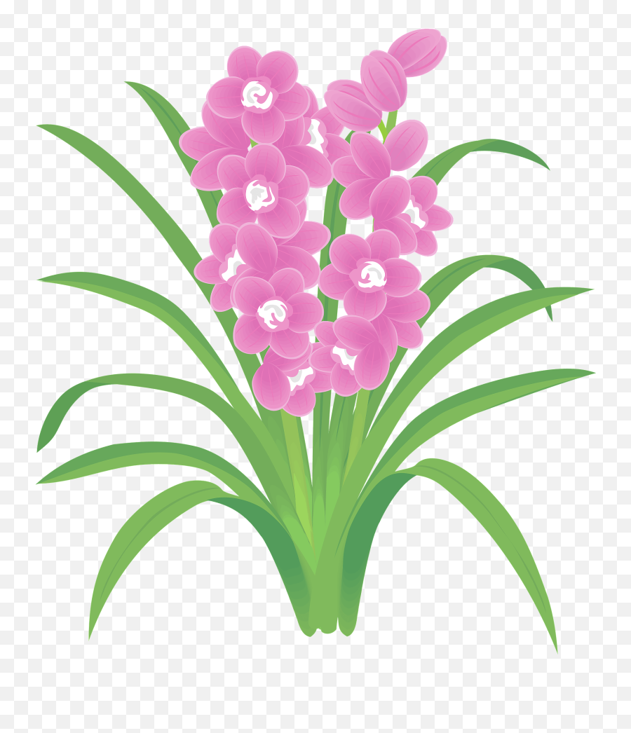 Boat Orchids Flower Clipart - Moth Orchids Emoji,Orchid Clipart