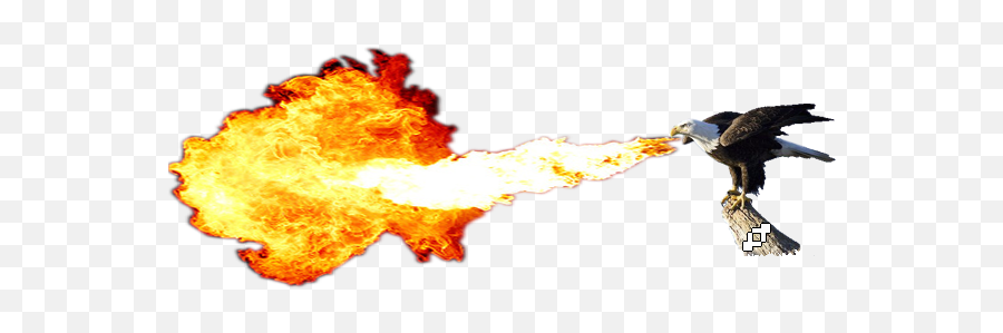 Download Fire Breathing Dragon Png Download - Fire Breathing Fire Breathing Png Emoji,Fire Dragon Png