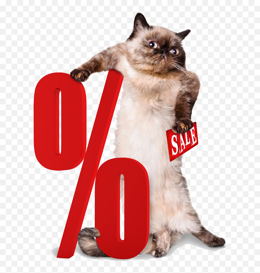 Percentage Png Clipart Png Mart Emoji,Siamese Cat Clipart