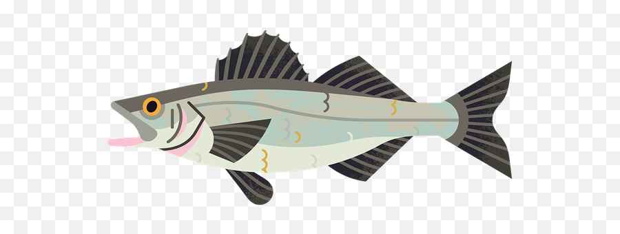 Seabass - Rating Id 370 Good Fish Guide Emoji,Turkey Body Clipart