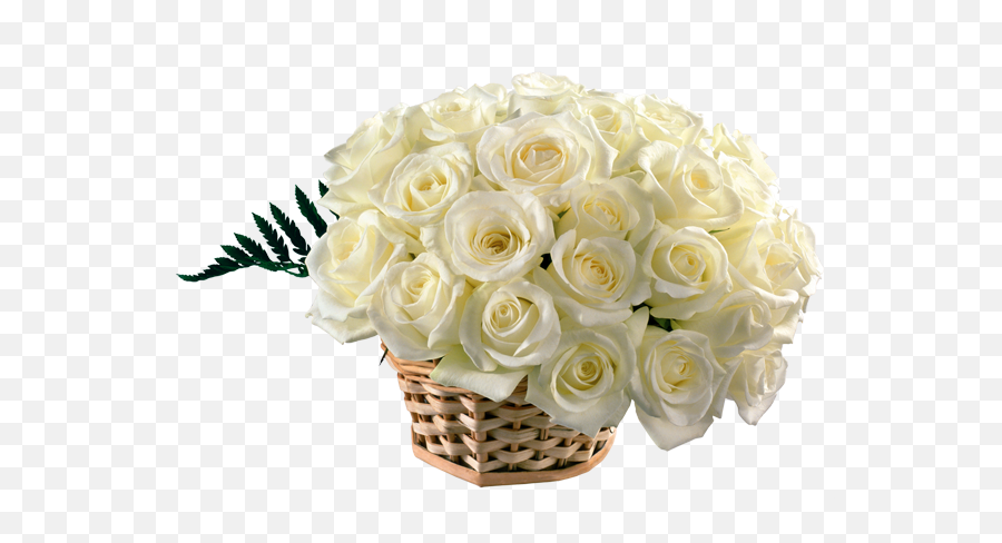 White Rose Bouquet - Png Image And Clipart Bouquet Of White Flowers Images Hd For Free Download Emoji,White Rose Png
