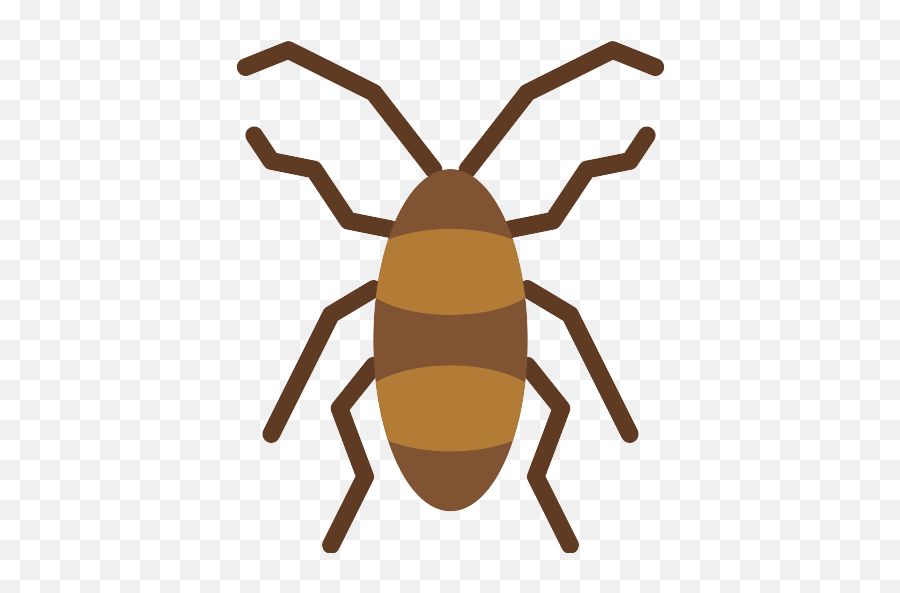 Cockroach Vector Svg Icon - Insects Icon Clipart Emoji,Cockroach Png