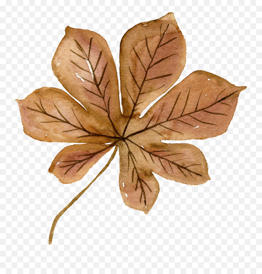 This Graphics Is Watercolor Brown Flowers Free Matting Emoji,Watercolor Leaf Png