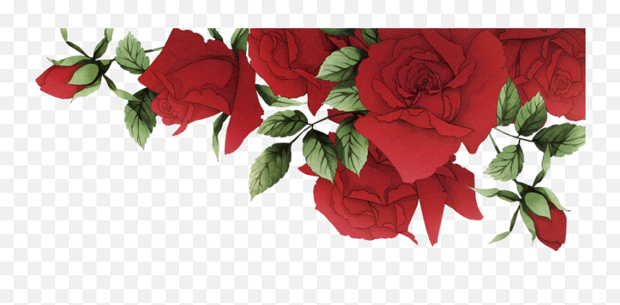 Garden Roses Beach Rose Red Flower - Romantic Red Roses Emoji,Red Flowers Png