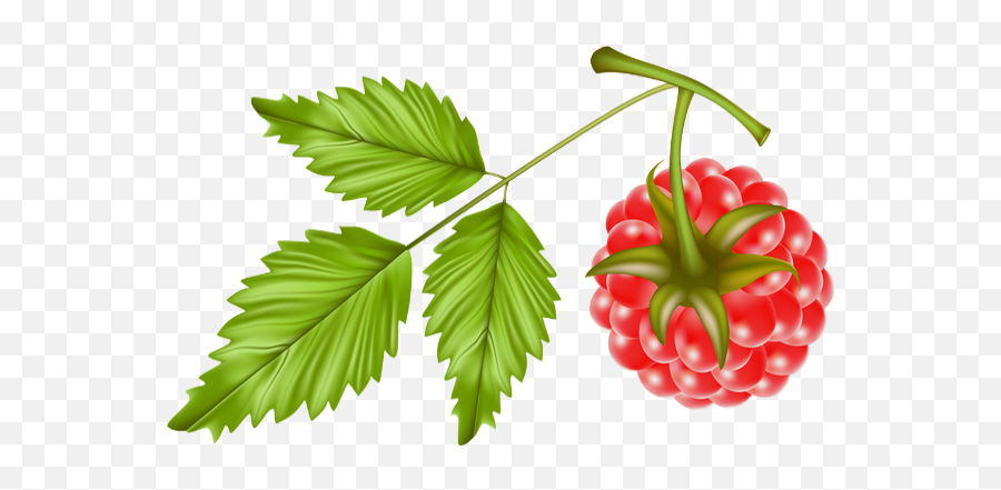Raspberry Emoji,Raspberry Png