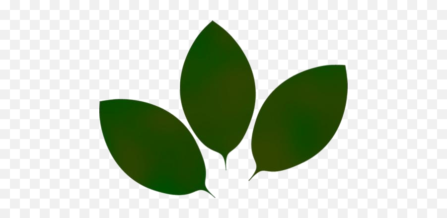Green Leaves Png Hd Images Stickers Vectors Emoji,Lettuce Leaf Clipart