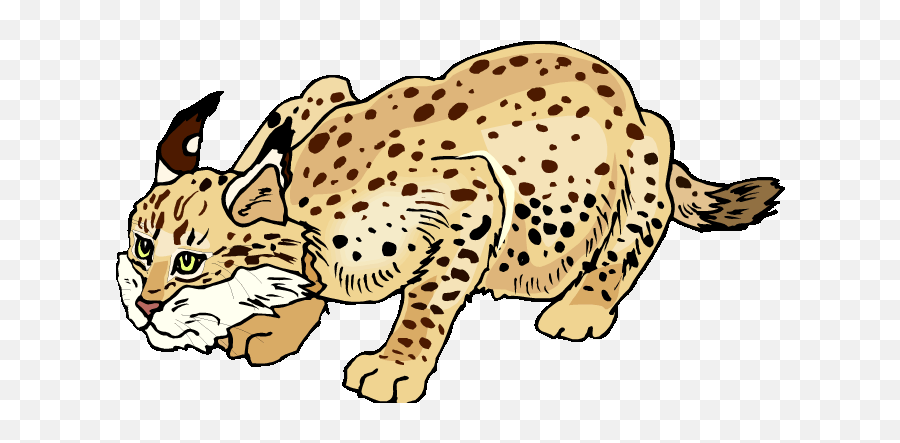 Bobcat Clipart - Sucre Park Emoji,Bobcat Clipart