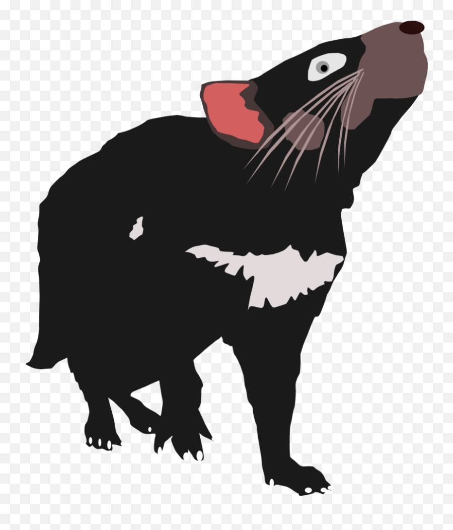 Demon Tail Png - Tasmanian Devil Vector Cartoon Tasmanian Tasmanian Devil Tattoo Png Emoji,Devil Tail Png