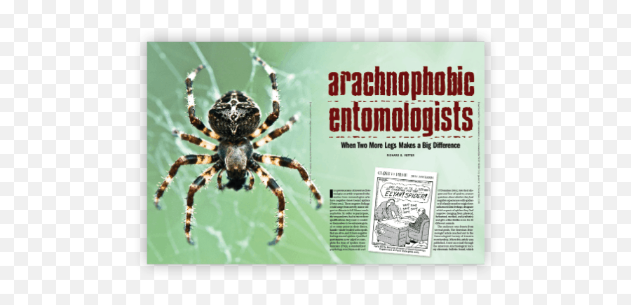 Entomologist Earns U0027ignobleu0027 Distinction - Pct Pest European Garden Spider Emoji,Cleveland Spiders Logo