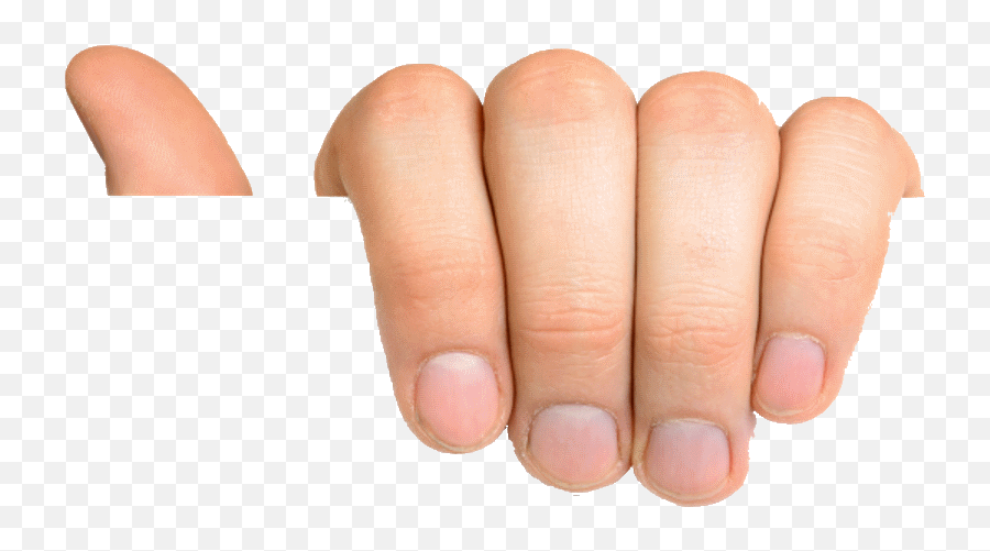 Skjema - Screencancer Navigator Emoji,Hands Holding Png