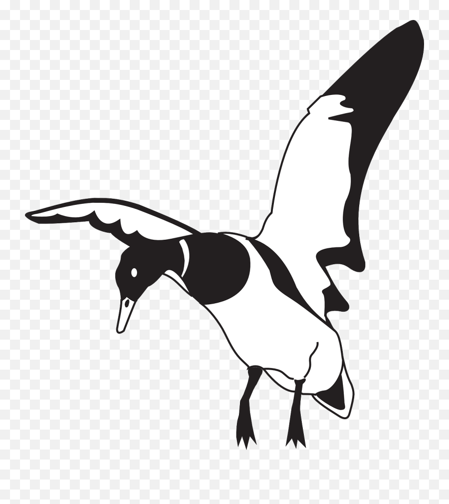 Black White Bird - Clip Art Duck Landing Png Download Clip Art Duck Landing Emoji,Bird Clipart Black And White