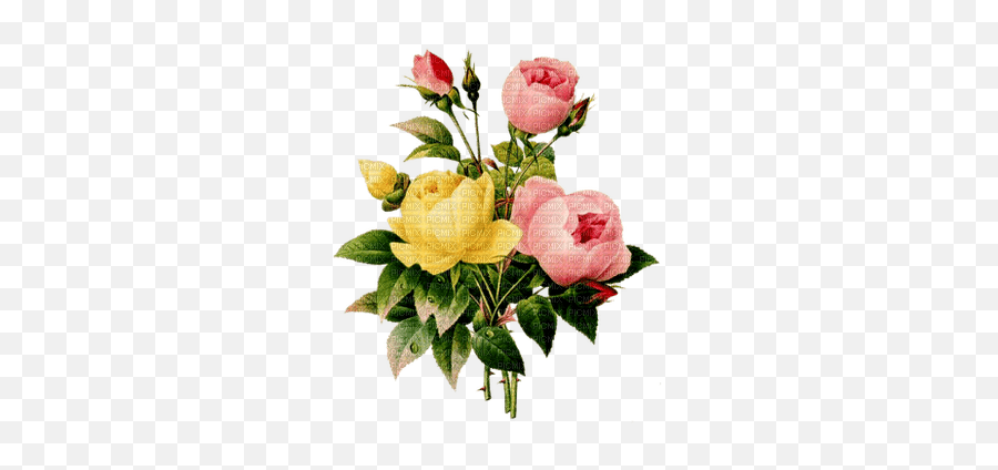 Flores Flores - Picmix Emoji,Vintage Floral Png