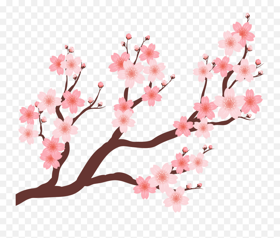 Cherry Beautiful Tree - Baju Setelan Ethica Terbaru 2019 Emoji,Cherry Blossom Tree Clipart