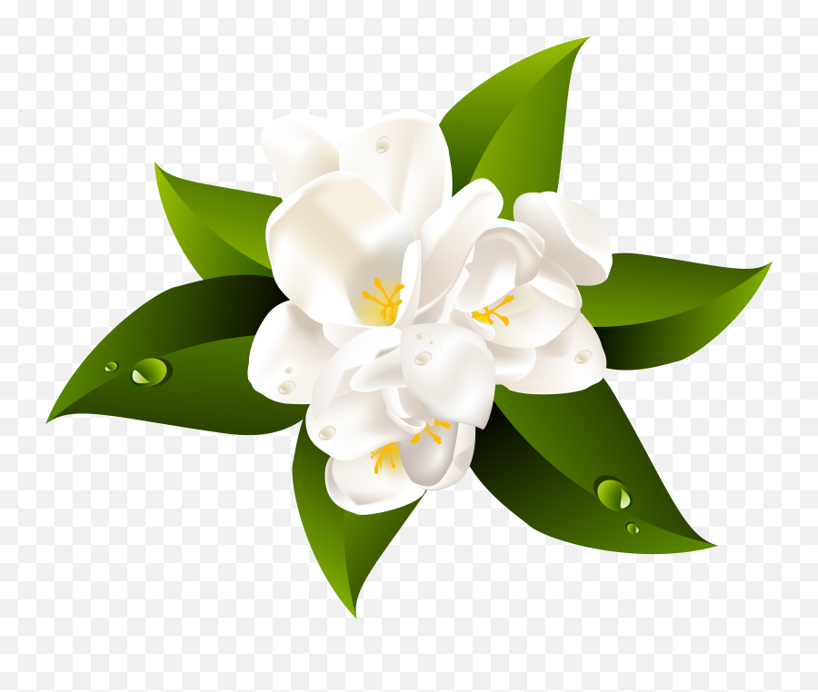 Clear Background White Flower Png - Clip Art White Flower Transparent Background Emoji,White Flower Png