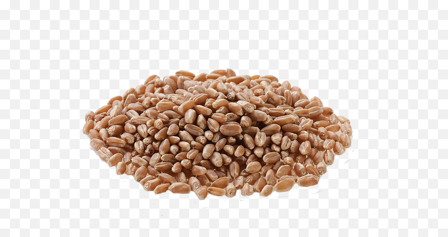 Wheat Products Mysite - Superfood Emoji,Wheat Png
