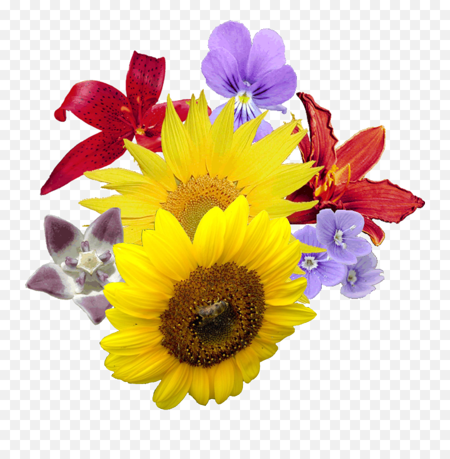 Yellow Flowers Transparent Background - Bouet Of Flowers Png Emoji,Flowers Transparent Background