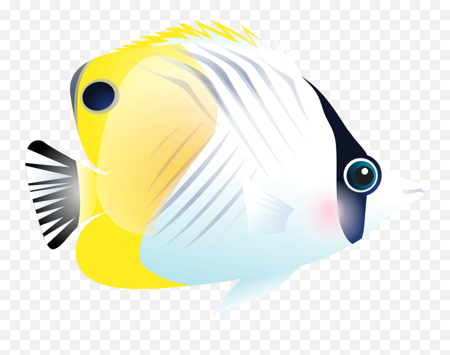 Fish Clipart Free Download Transparent Png Creazilla Emoji,Coral Reef Fish Clipart