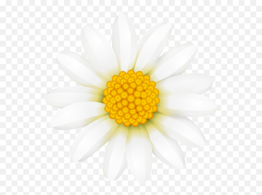 White Daisy Transparent Png Clip Art Image Clip Art Art Emoji,Yellow Daisy Clipart