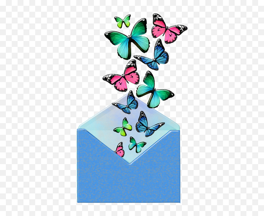 Free Photo Open Letter Envelope Letter Insects Butterflies Emoji,Butterfly Png Clipart