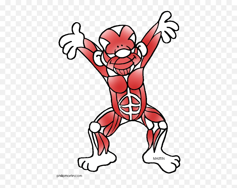 Muscle Cliparts Download Free Clip Art - Cute Muscular System Clipart Emoji,Muscle Clipart