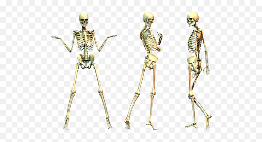 Dancing Skeleton Transparent Images Emoji,Skeleton Transparent