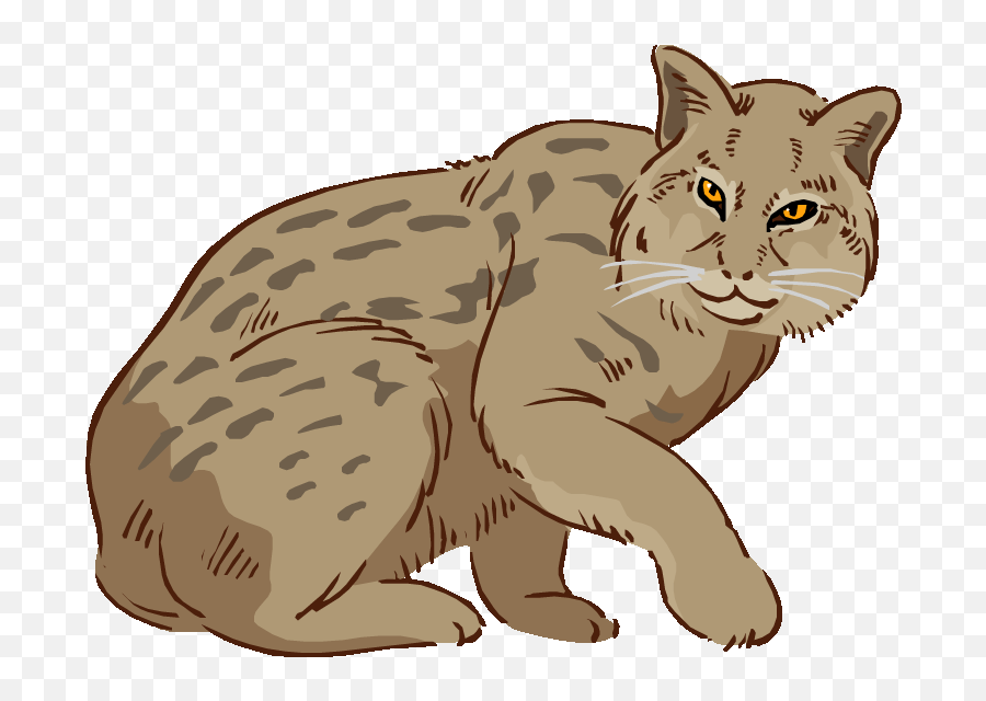 Bobcat Articles - Bob Cat Clipart Emoji,Bobcat Clipart