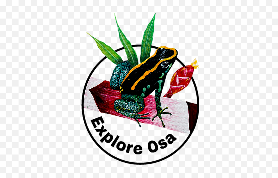 Our Logo Explore Osa - Poison Dart Frog Emoji,Poison Logo
