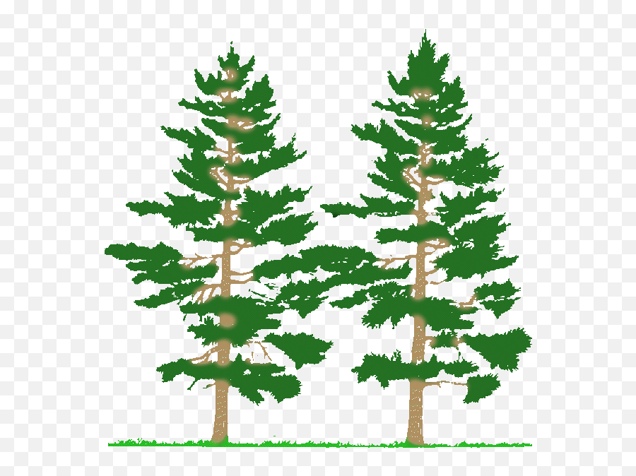 Tree - Forest Clip Art Tree Emoji,Forest Clipart