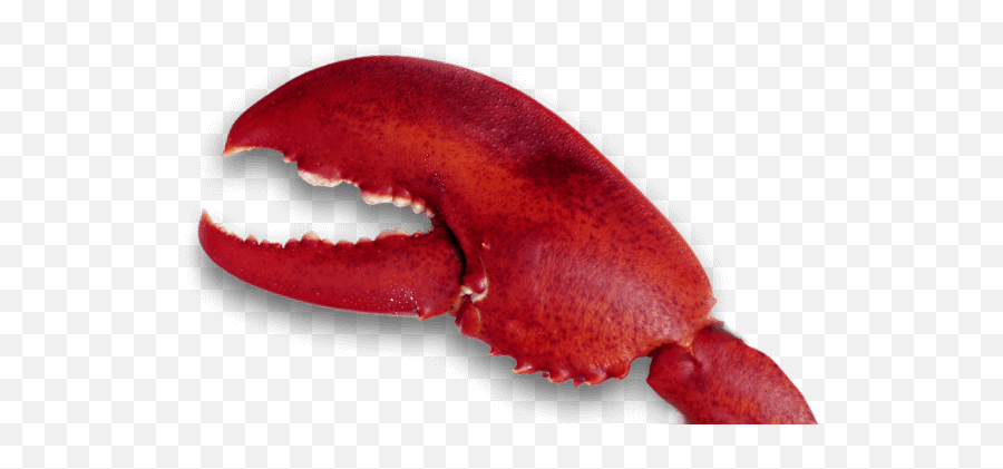 Lobster Png Hd Images Png Play Emoji,Lobster Transparent Background