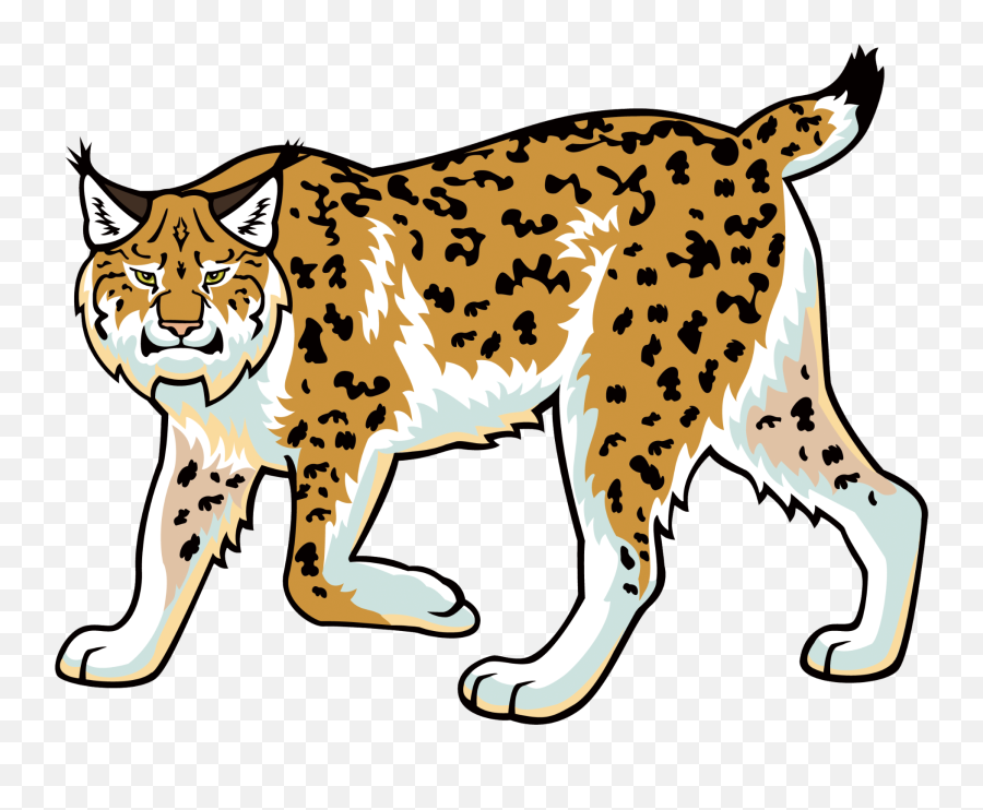 Bobcat Clipart Transparent Bobcat - Transparent Bobcat Clipart Emoji,Bobcat Clipart
