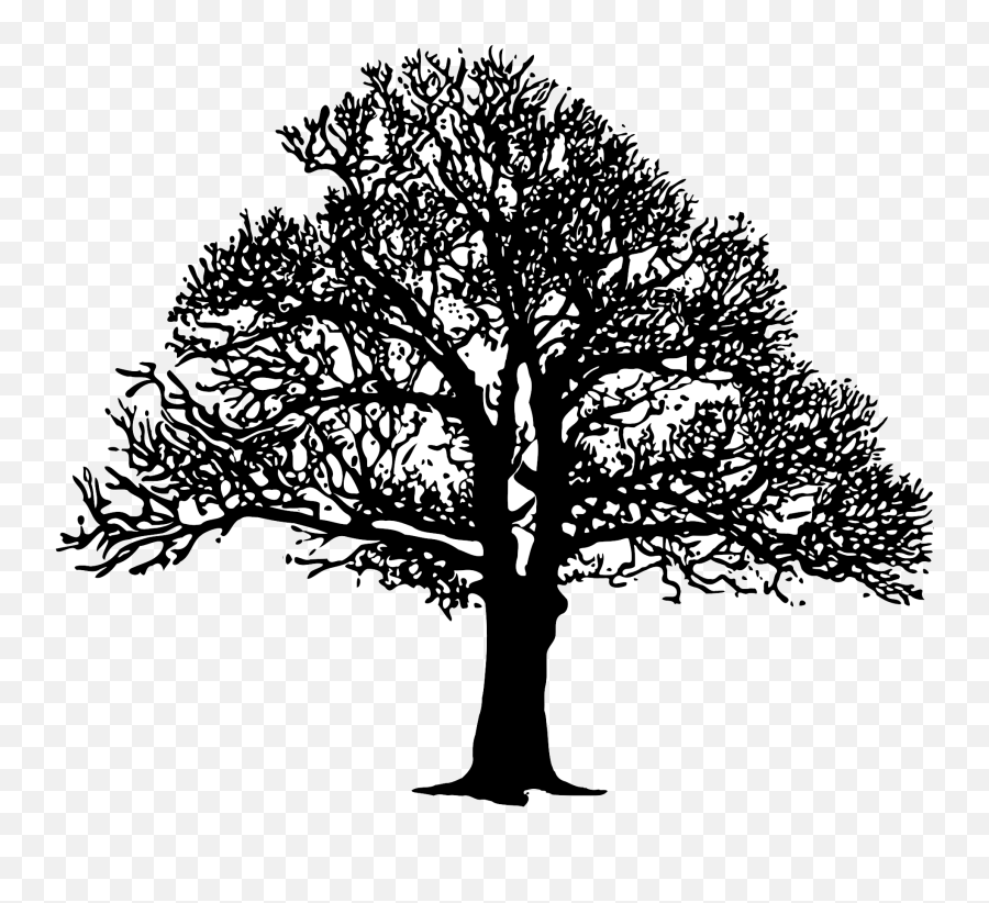 Tree Clip Art - Oak Png Download 24001697 Free Oak Tree Silhouette Emoji,Oak Tree Clipart