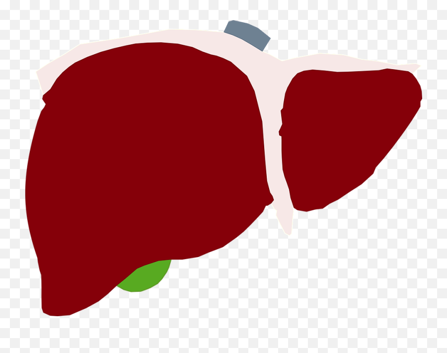 Human Liver Liver Red Liver Heart Red - Higado Png Emoji,Liver Png