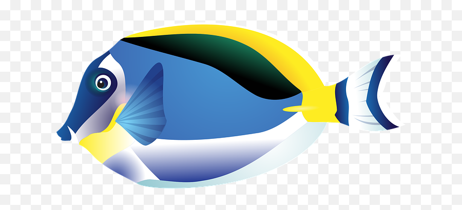 2000 Free Fish U0026 Sea Illustrations - Pixabay Fish Aquarium To Drawing Emoji,Fish Food Clipart