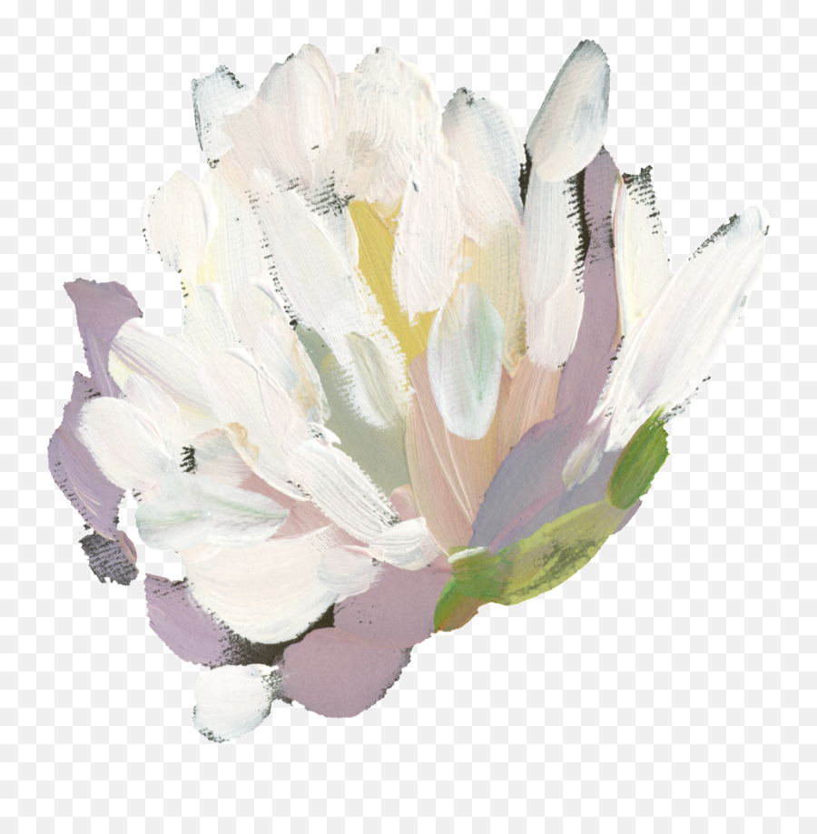 Hand Painted White Watercolor Flower Emoji,Painted Flowers Png