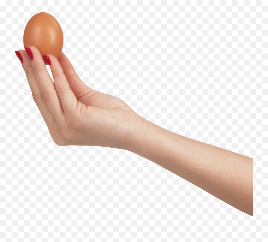 Download Egg In Hand Png Image Hq Png - Egg In Hand Png Emoji,Hand Png
