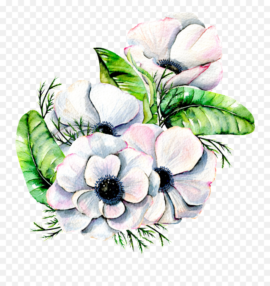 Hand Painted Elegant White Flower Png - Floral Emoji,White Flower Png