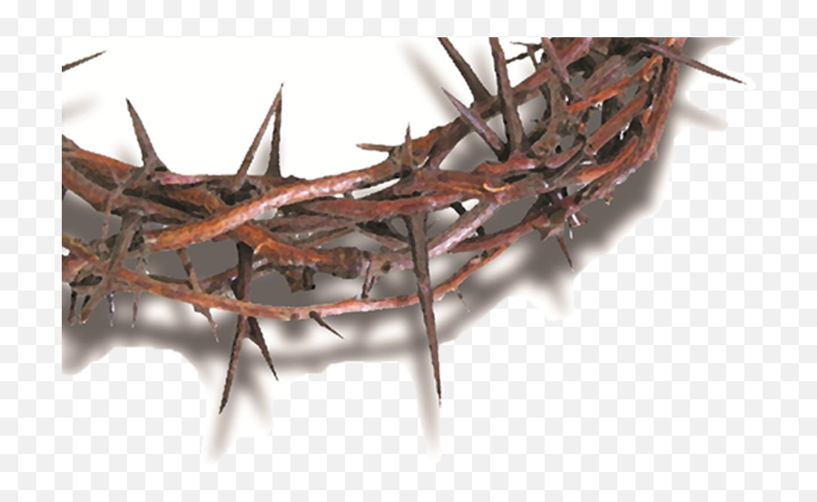 Crown Of Thorns And Nails Png - Crown Thorns And Nail Png Emoji,Thorns Png