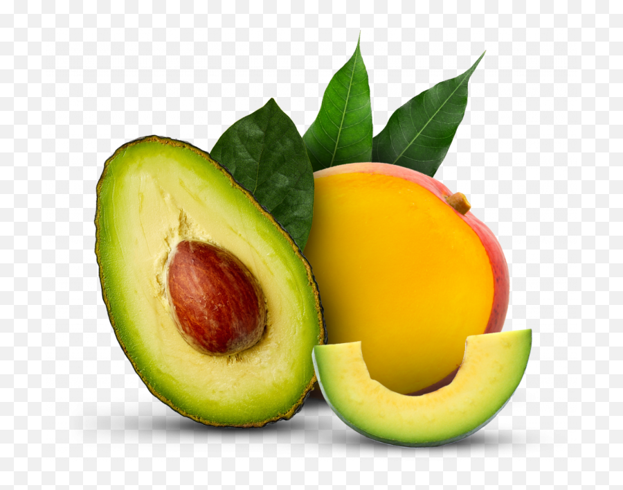 Total Exotics - Avocado Emoji,Avocado Png