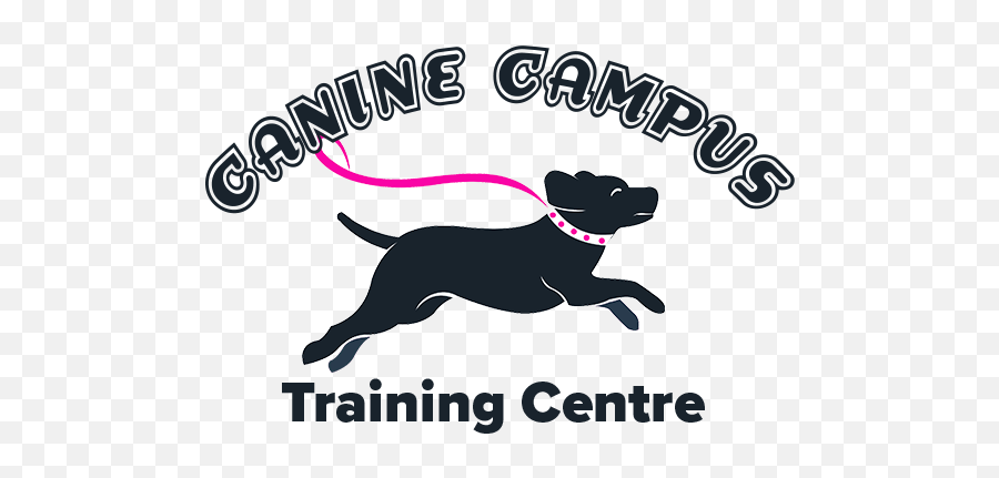 Ppg Summit 2016 In Tampa Florida - Canine Campus Training Centre Language Emoji,Ppg Logo
